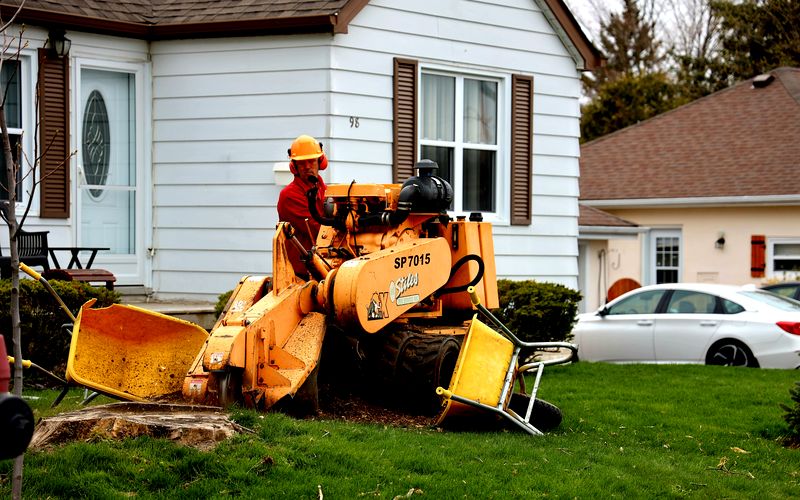 Stump grinding in Rapid City SD